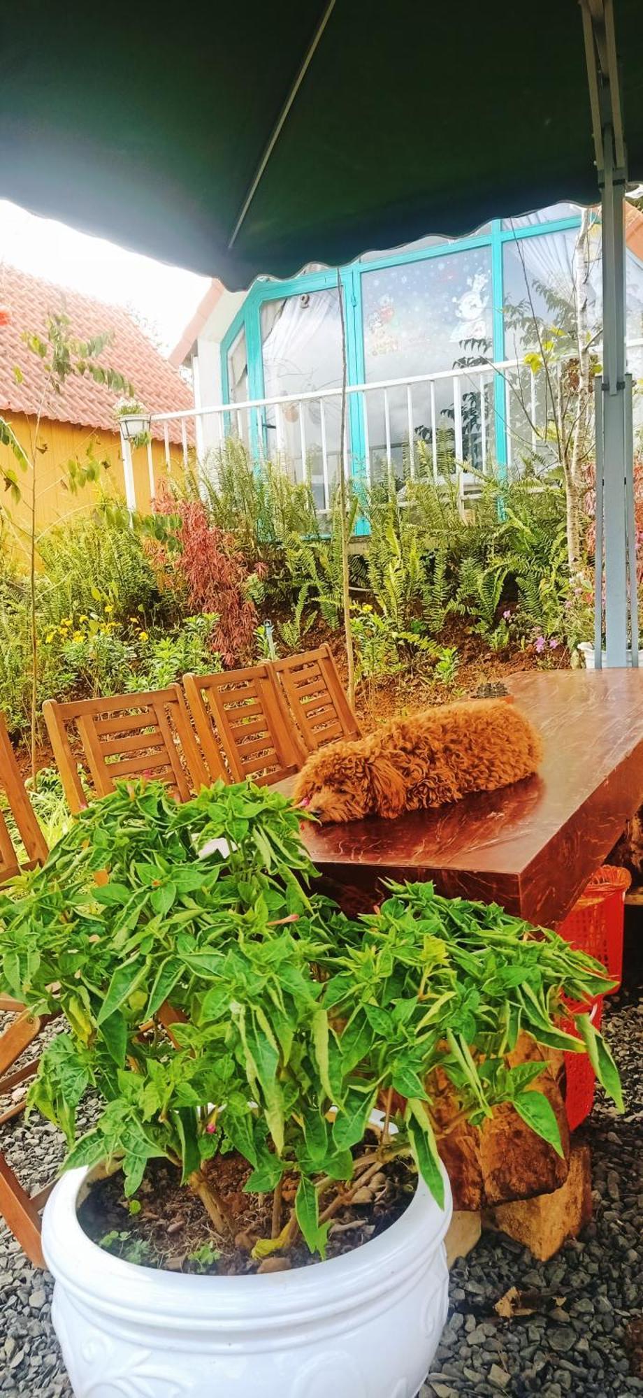 Paradiso Homestay Mangden Kon Von Kla المظهر الخارجي الصورة